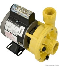 Jacuzzi Pumps